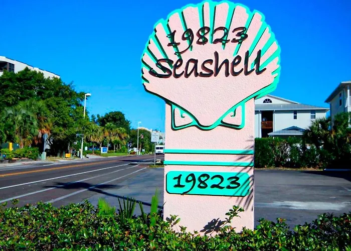 Seashell 20